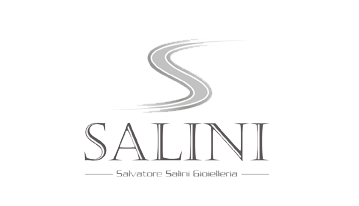client logo salini